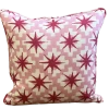 Peter Dunham Starburst Raspberry/Pink Outdoor Pillow